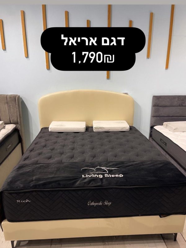 אריאל