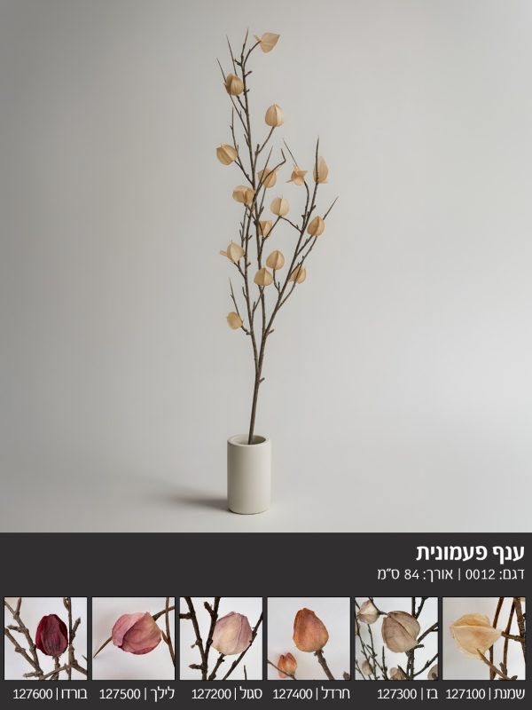 ענף פעמונית שמנת חרדל בז